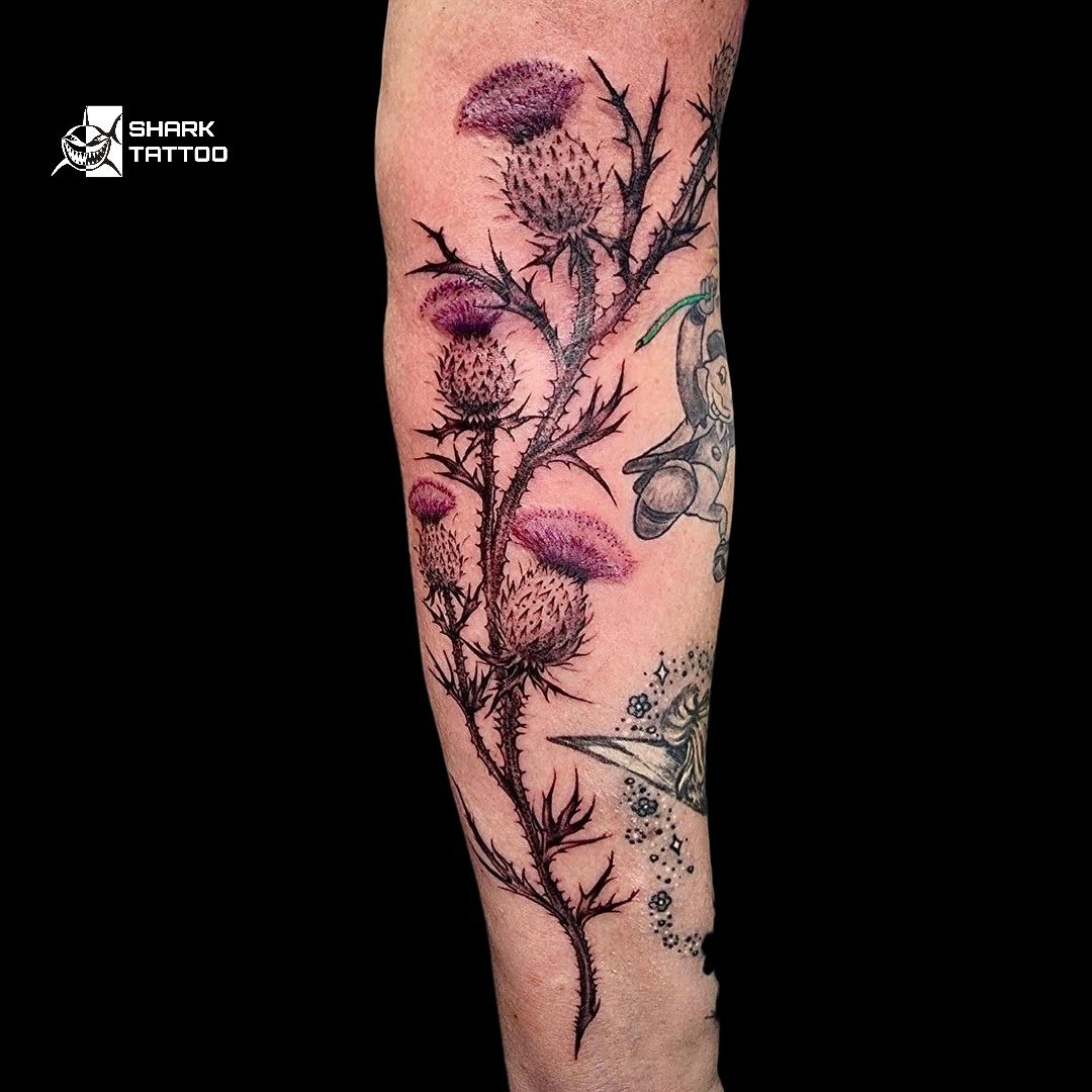 Dieses atemberaubende Distel-Tattoo fängt die ungezähmte Schönheit der Natur mit filigranen Details und lebendigen Farben ein. Vollständig freihand entworfen, zelebriert dieses Kunstwerk Individualität und Kreativität, indem es die rohe Essenz der Distel mit moderner Tattoo-Kunst verbindet. Jeder Dorn und jede Blüte wurde sorgfältig gestaltet, um ein lebensechtes Design zu schaffen, das Stärke und Widerstandskraft symbolisiert.

Bereit, die wilde Eleganz der Natur in Tinte zu verewigen? Buche jetzt deinen Termin unter www.sharktattoo.de oder rufe uns an unter +49 174 4552303. Lass uns ein einzigartiges Freihand-Meisterwerk erschaffen, das deine Geschichte erzählt!