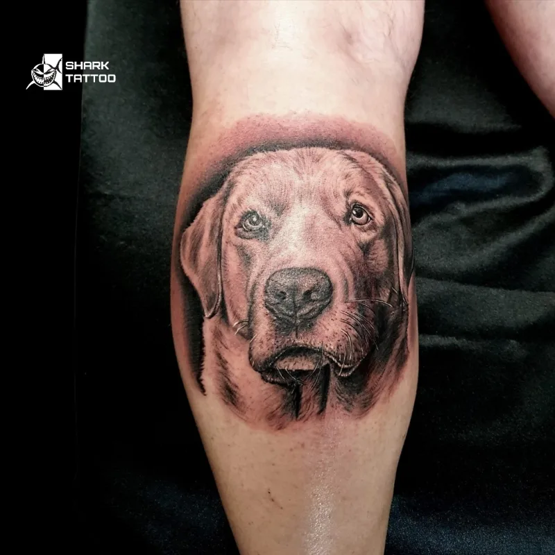 🐾 Für die Ewigkeit – Haustier-Porträt Tattoo 🐾