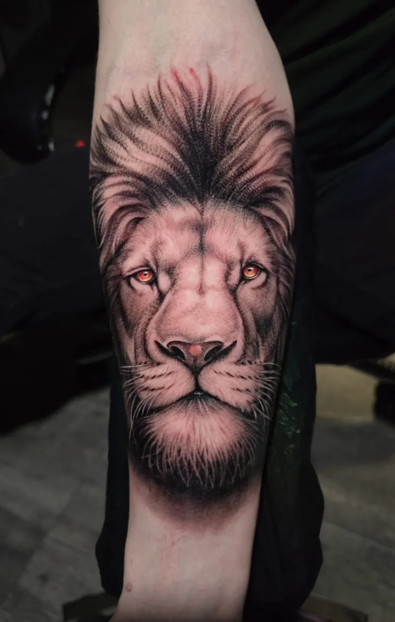 Lion